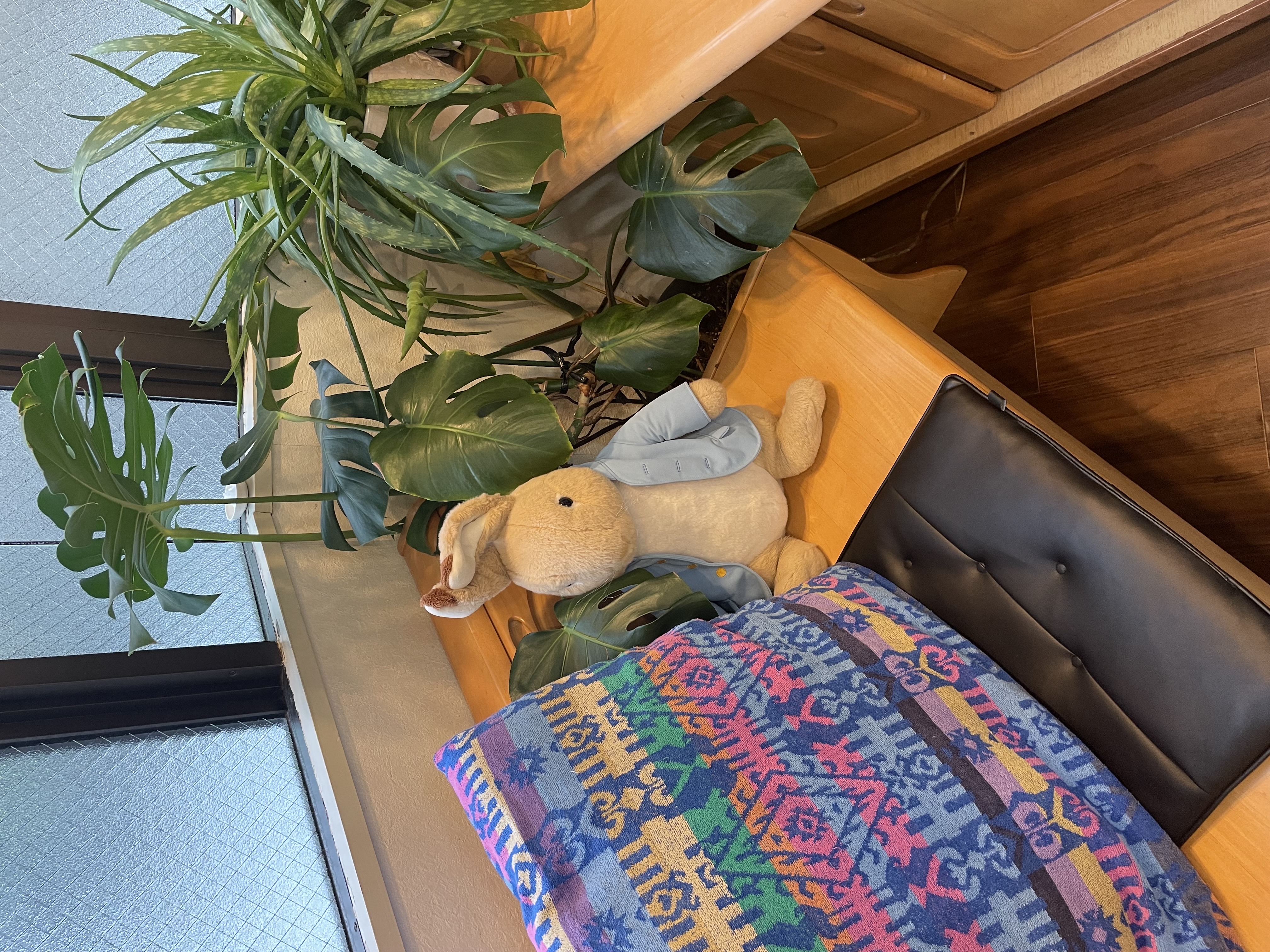 大河原理容店 待合スペース（植物・ぬいぐるみ）